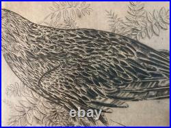 Très Belle Gravure Joseph Hecht Aigle Royal Art Animal Oiseau Rare 1928 Ancien