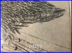 Très Belle Gravure Joseph Hecht Aigle Royal Art Animal Oiseau Rare 1928 Ancien