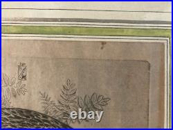 Très Belle Gravure Joseph Hecht Aigle Royal Art Animal Oiseau Rare 1928 Ancien