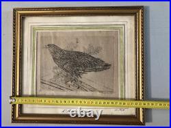 Très Belle Gravure Joseph Hecht Aigle Royal Art Animal Oiseau Rare 1928 Ancien