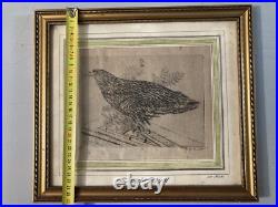 Très Belle Gravure Joseph Hecht Aigle Royal Art Animal Oiseau Rare 1928 Ancien