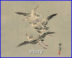 UWEstampe japonaise originale Suian 1880 oiseaux mouettes 19 A031