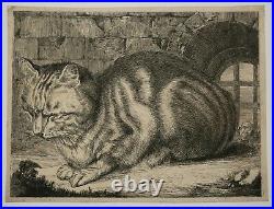 VISSCHER Cornelis (D'APRÈS) Le gros chat. Gravé par un anonyme XIXème