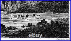 Ville et château de Nice Gravure monumentale