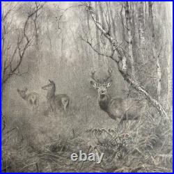 XAVIER DE PORET Lithographie Originale Cerf Biche Faon Provenance Lucien CLERGUE