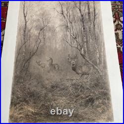 XAVIER DE PORET Lithographie Originale Cerf Biche Faon Provenance Lucien CLERGUE