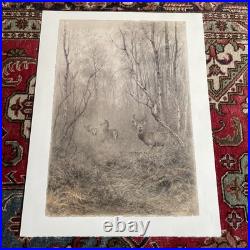 XAVIER DE PORET Lithographie Originale Cerf Biche Faon Provenance Lucien CLERGUE