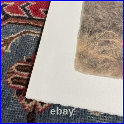 XAVIER DE PORET Lithographie Originale Cerf Biche Faon Provenance Lucien CLERGUE