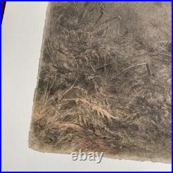 XAVIER DE PORET Lithographie Originale Cerf Biche Faon Provenance Lucien CLERGUE